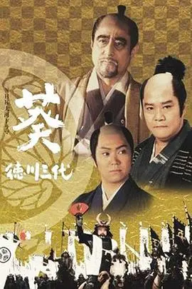 葵德川三代：日本历史王朝的权力与阴谋传奇